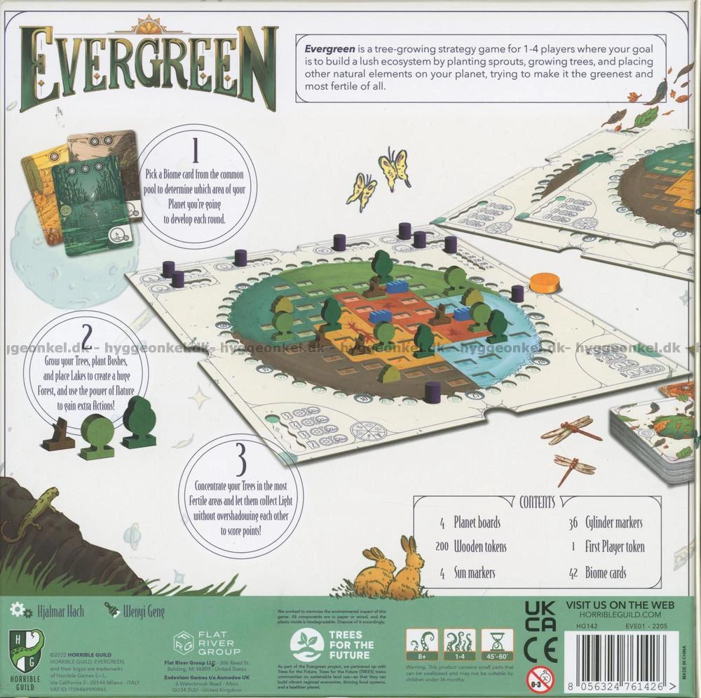 ASMODEE Evergreen 4 ASMODEE Evergreen - Image 2