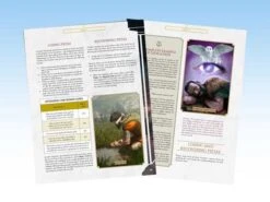 ASMODEE Lex Arcana RPG Core Rulebook -Asmodee arelex003 3