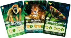 ASMODEE Canopy 8 ASMODEE Canopy -Asmodee pic5519166