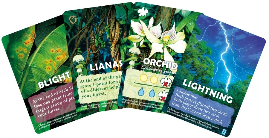 ASMODEE Canopy 6 ASMODEE Canopy - Image 4