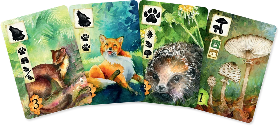 ASMODEE Meadow 4 ASMODEE Meadow - Image 2